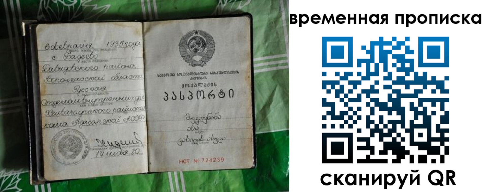 прописка в Сорске